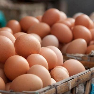 බිත්තර ආනයනයට අනුමැතිය