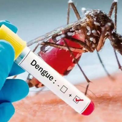 අගෝස්තු මස ඩෙංගු රෝගීන් 2000 ඉක්මවයි