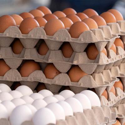 බිත්තර ආනයනයට විරෝධයක්