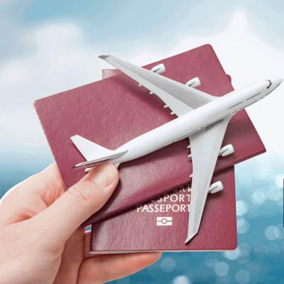 e-වීසා සේවා සැපයීම විදෙස් සමාගම්වලට පැවරීම වළකමින් නියෝගයක්