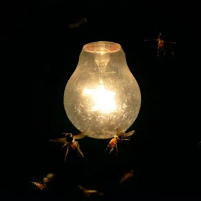 අදත් පැයක් අඳුරේ - විදුලිය කැපෙන වෙලාව මෙන්න