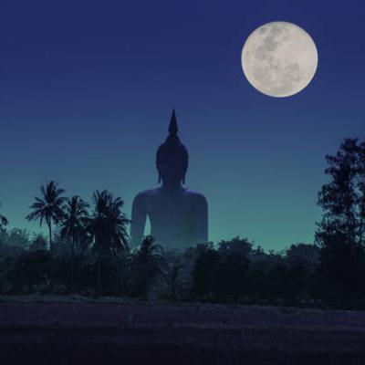 වෙසක් පුර පසලොස්වක පොහොය අදයි..