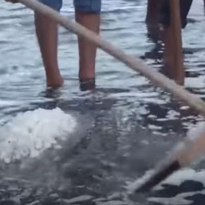 මාස 18කට පසු හම්බන්තොට ලුණු නිෂ්පාදනය අරඹයි