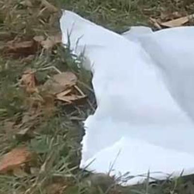 තමන්ගේම ගිනි අවිය පත්තු වී තිදරු පියා මරුට